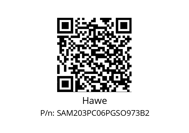   Hawe SAM203PC06PGSO973B2