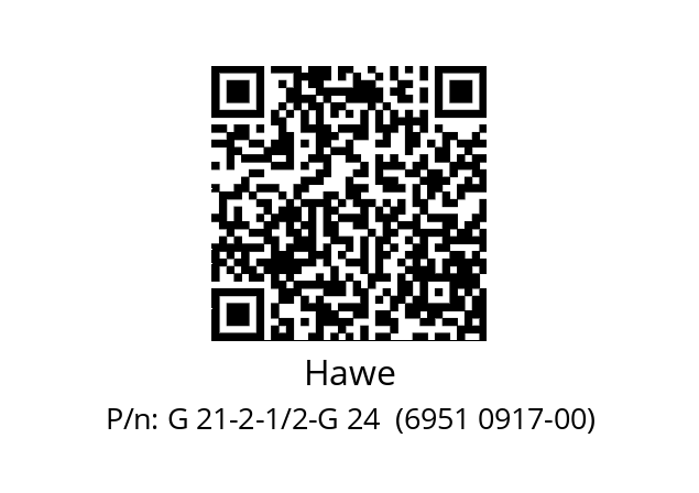   Hawe G 21-2-1/2-G 24  (6951 0917-00)