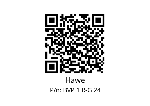   Hawe BVP 1 R-G 24