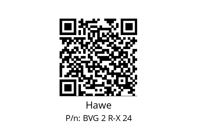   Hawe BVG 2 R-X 24