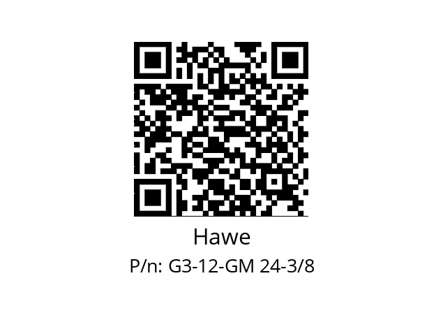   Hawe G3-12-GM 24-3/8