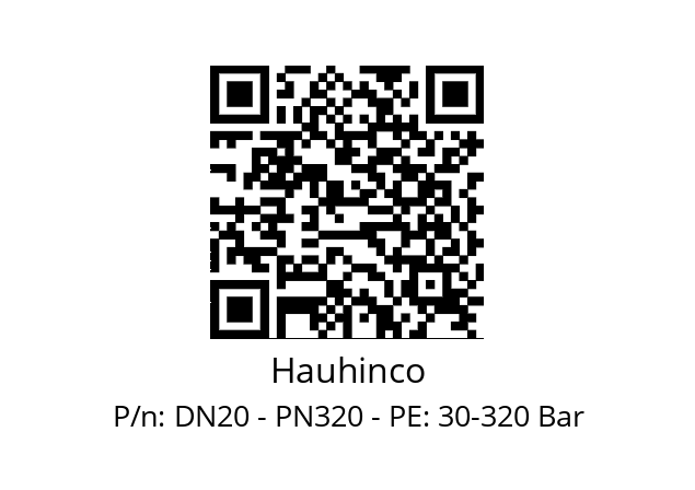   Hauhinco DN20 - PN320 - PE: 30-320 Bar