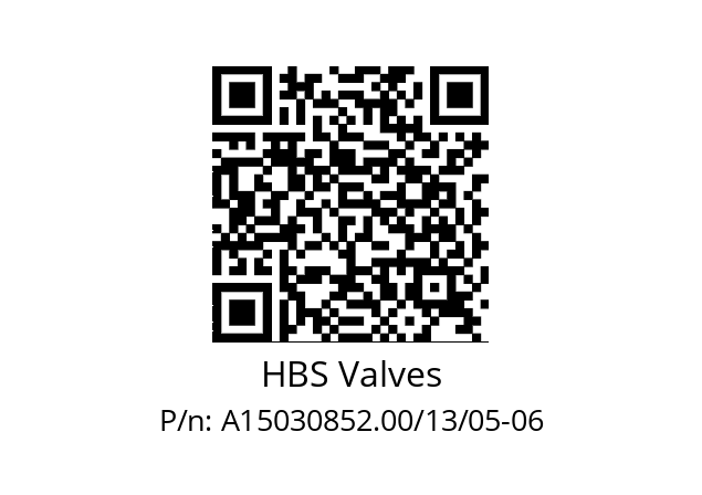   HBS Valves A15030852.00/13/05-06