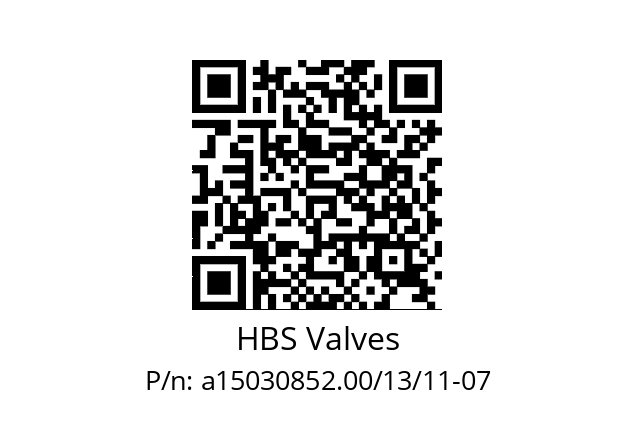   HBS Valves a15030852.00/13/11-07