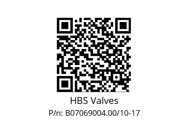   HBS Valves B07069004.00/10-17