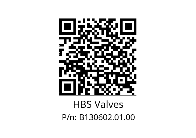   HBS Valves B130602.01.00