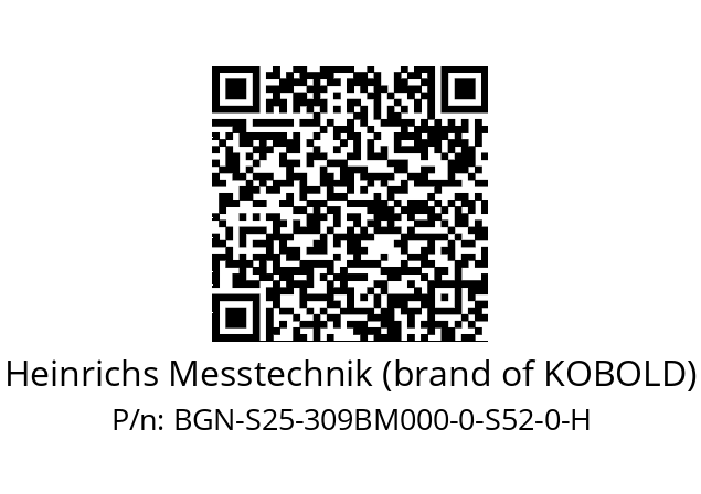   Heinrichs Messtechnik (brand of KOBOLD) BGN-S25-309BM000-0-S52-0-H