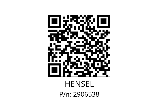   HENSEL 2906538