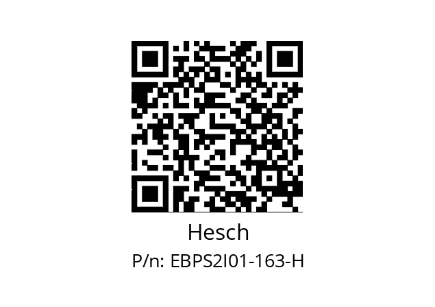   Hesch EBPS2I01-163-H