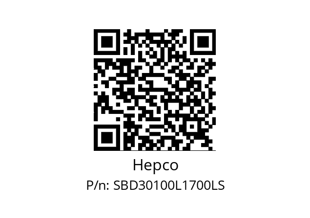   Hepco SBD30100L1700LS