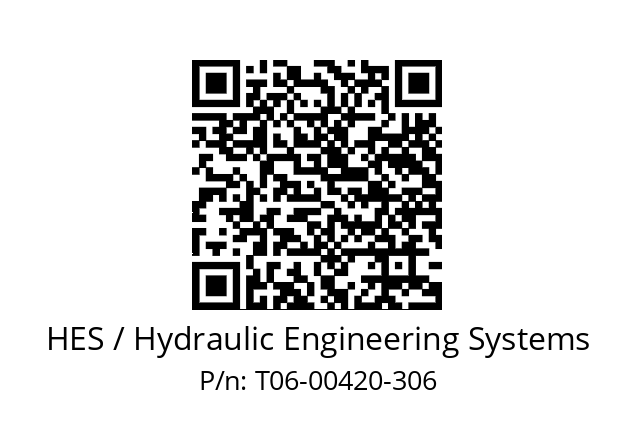   HES / Hydraulic Engineering Systems T06-00420-306