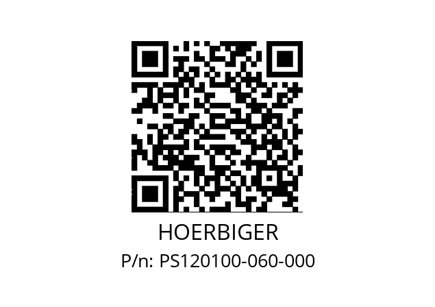   HOERBIGER PS120100-060-000