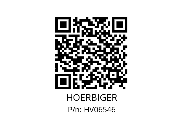   HOERBIGER HV06546