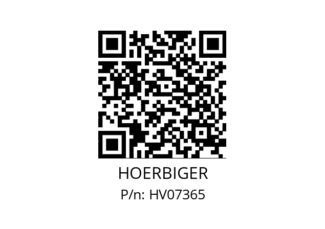   HOERBIGER HV07365