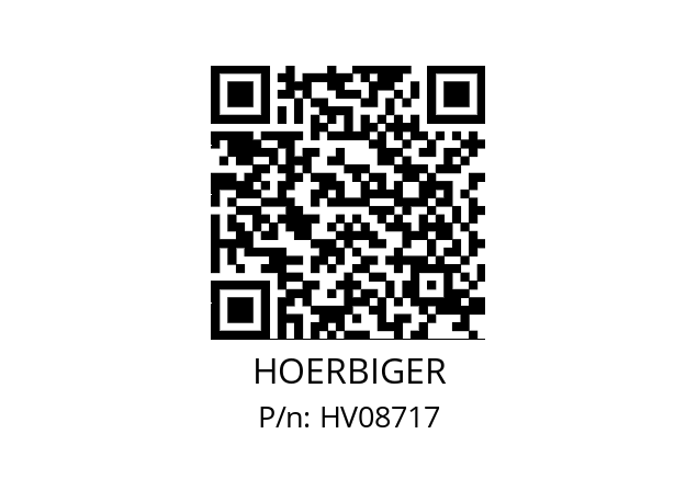   HOERBIGER HV08717