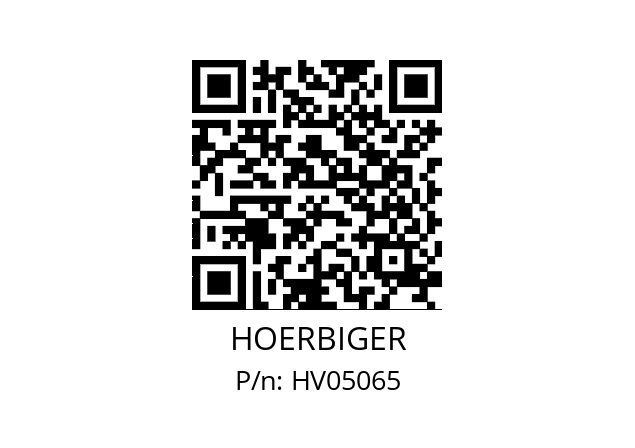   HOERBIGER HV05065