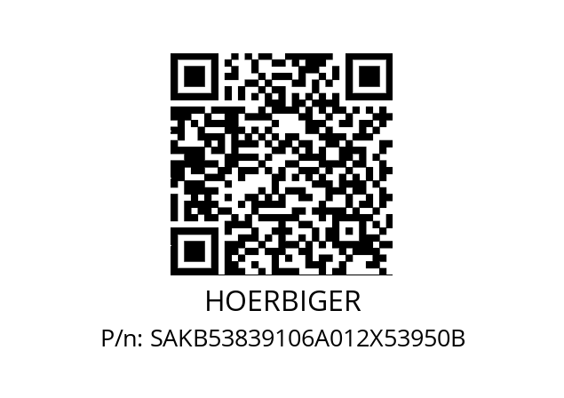   HOERBIGER SAKB53839106A012X53950B