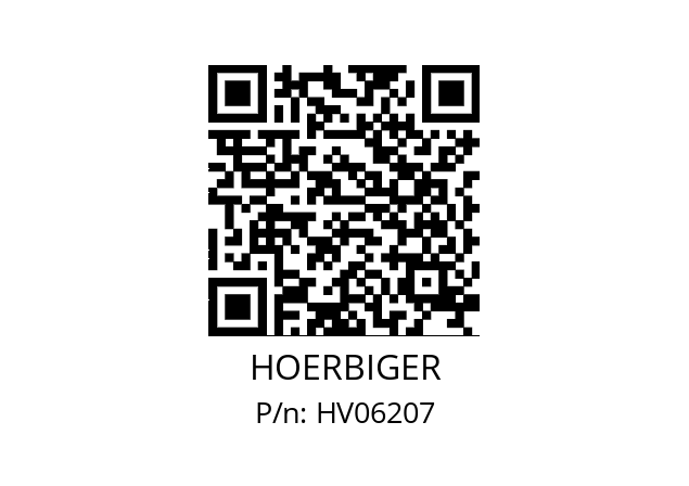   HOERBIGER HV06207