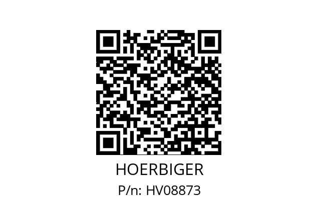  BM209PC06PGSO973(B2) HOERBIGER HV08873