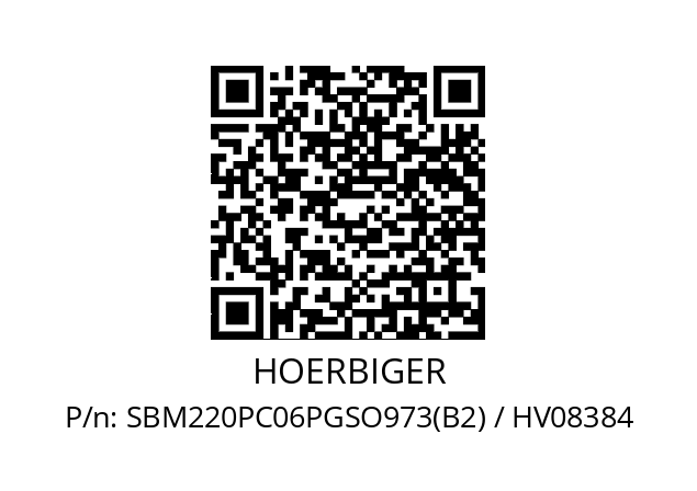   HOERBIGER SBM220PC06PGSO973(B2) / HV08384