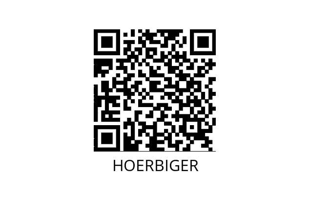  HB54917-002A HOERBIGER 