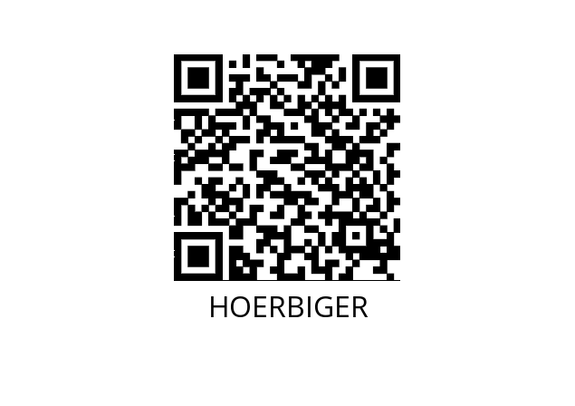  HV 08283 HOERBIGER 