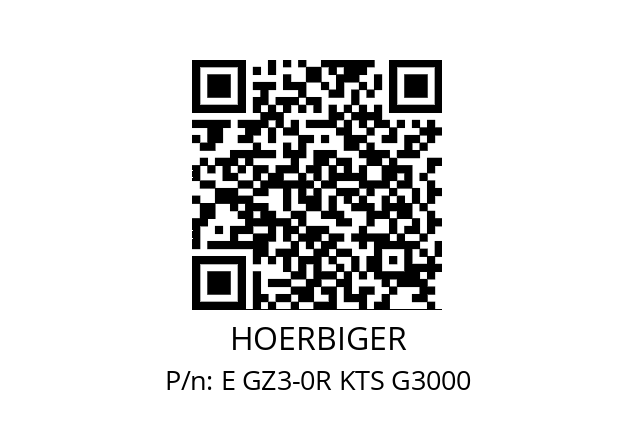   HOERBIGER E GZ3-0R KTS G3000