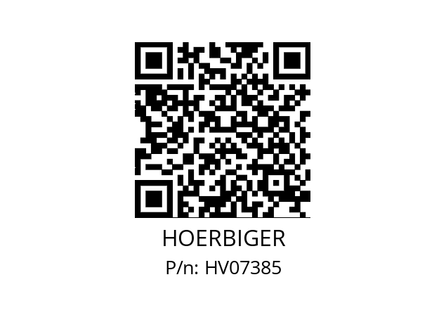   HOERBIGER HV07385