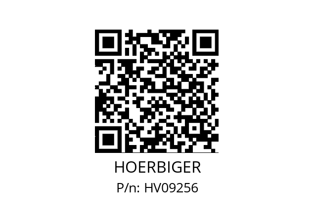   HOERBIGER HV09256