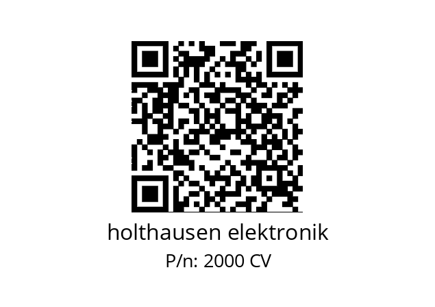   holthausen elektronik 2000 CV