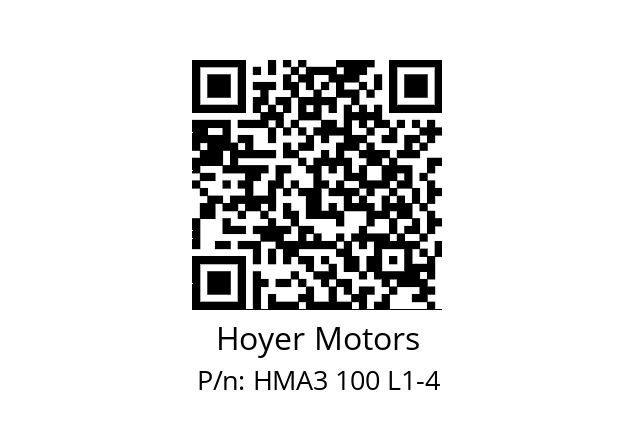   Hoyer Motors HMA3 100 L1-4