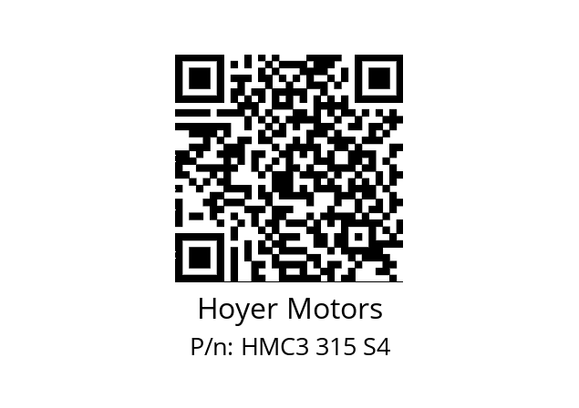   Hoyer Motors HMC3 315 S4