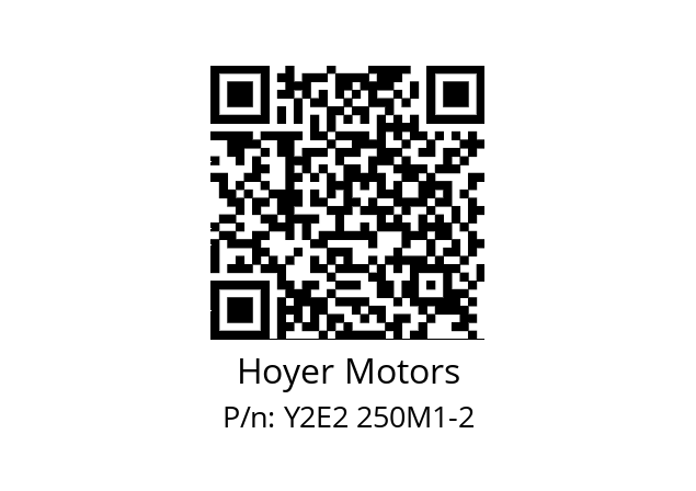   Hoyer Motors Y2E2 250M1-2