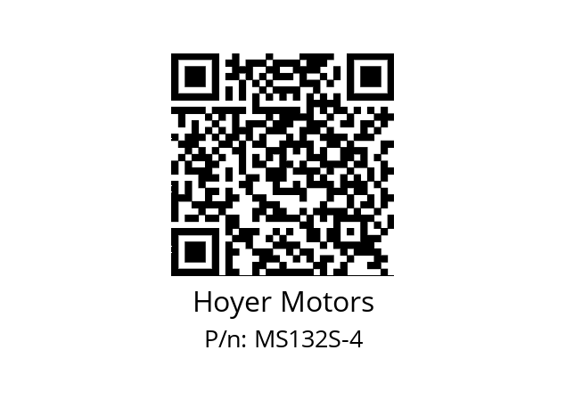   Hoyer Motors MS132S-4