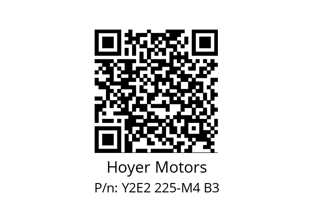   Hoyer Motors Y2E2 225-M4 B3