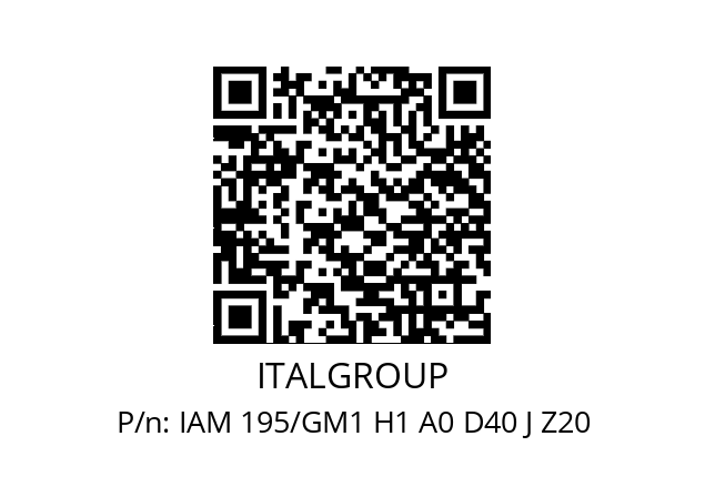   ITALGROUP IAM 195/GM1 H1 A0 D40 J Z20