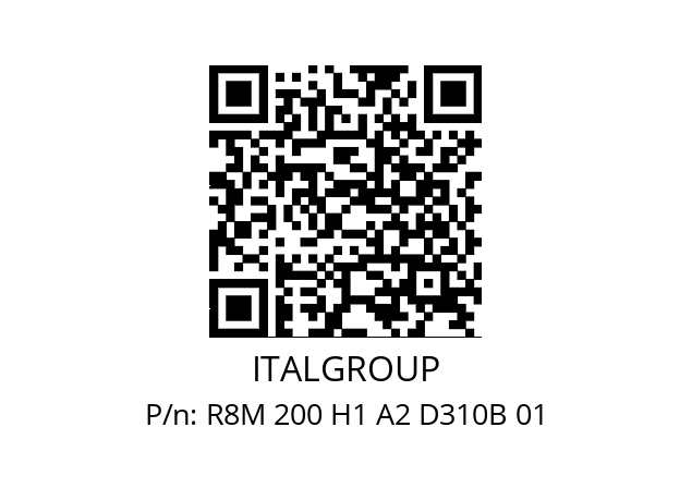   ITALGROUP R8M 200 H1 A2 D310B 01