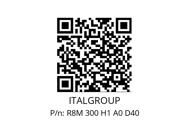   ITALGROUP R8M 300 H1 A0 D40