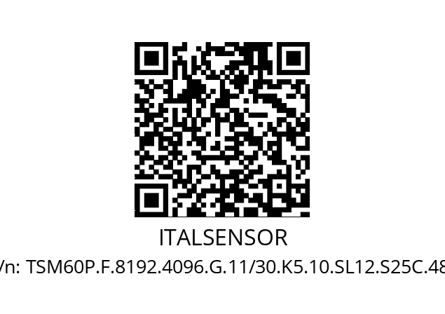   ITALSENSOR TSM60P.F.8192.4096.G.11/30.K5.10.SL12.S25C.485