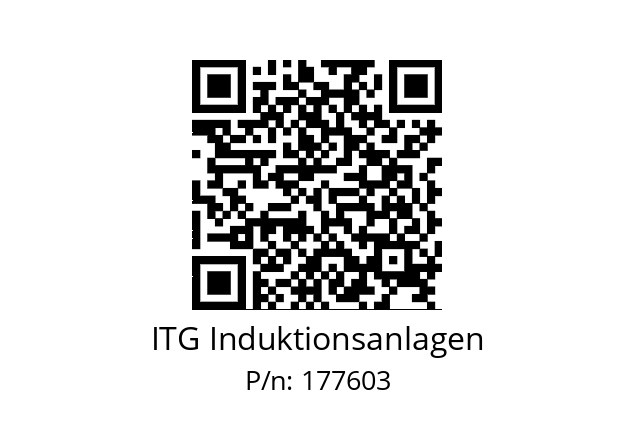   ITG Induktionsanlagen 177603