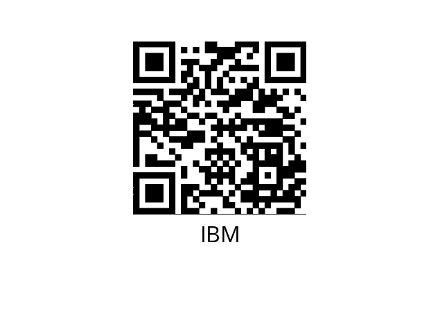  DX4 IBM 