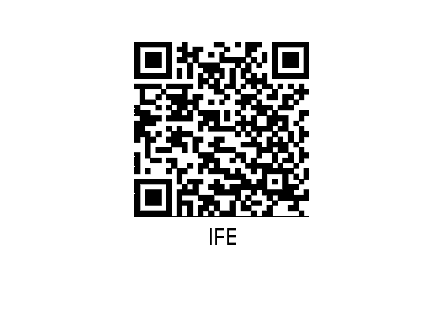  51L084010 IFE 