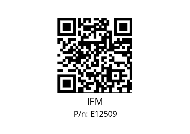   IFM E12509