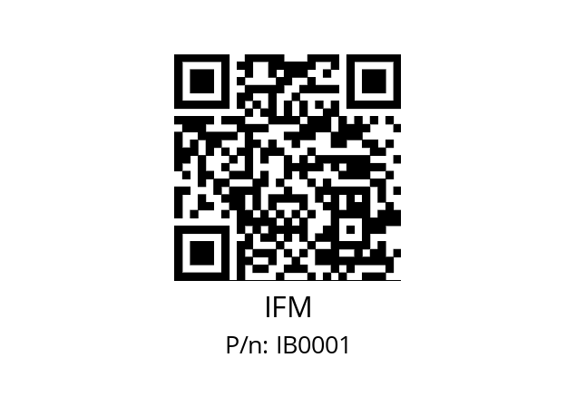   IFM IB0001