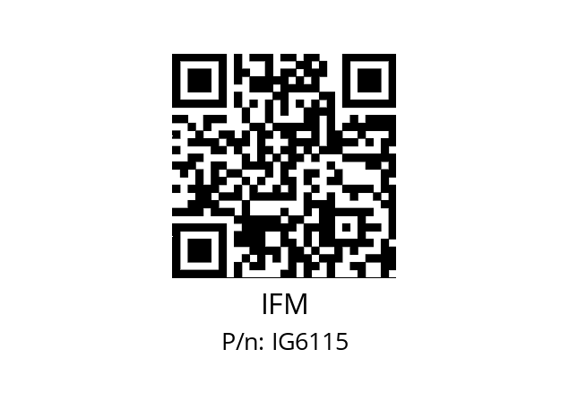   IFM IG6115