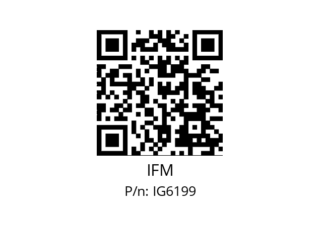   IFM IG6199