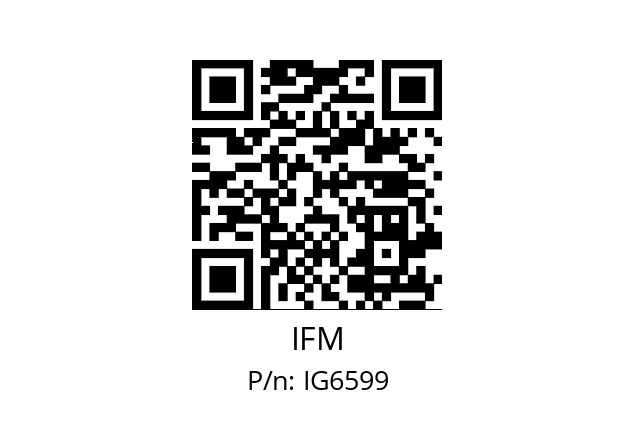   IFM IG6599