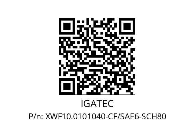   IGATEC XWF10.0101040-CF/SAE6-SCH80