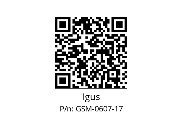   Igus GSM-0607-17