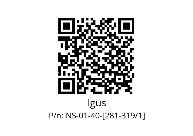   Igus NS-01-40-[281-319/1]